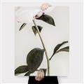 Picture of Romantic Blur Peony II _GroupedProduct_Rectangle_Portrait_Photography _GroupedProduct_Rectangle_Portrait_Canvas_