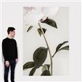 Picture of Romantic Blur Peony II _GroupedProduct_Rectangle_Portrait_Photography _GroupedProduct_Rectangle_Portrait_Canvas_