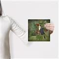 Picture of Tropical Paradise Toucan Bird _GroupedProduct_Square_Canvas_