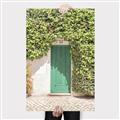 Picture of Green Door with Lush Leaves _GroupedProduct_Rectangle_Portrait_Photography _GroupedProduct_Rectangle_Portrait_Canvas_