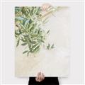 Picture of Few Olive Tree Leaves _GroupedProduct_Rectangle_Portrait_Photography _GroupedProduct_Rectangle_Portrait_Canvas_