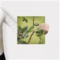 Picture of Vintage Tropical Birds I _GroupedProduct_Square_Canvas_