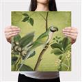 Picture of Vintage Tropical Birds I _GroupedProduct_Square_Canvas_