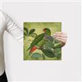 Picture of Vintage Tropical Birds II _GroupedProduct_Square_Canvas_