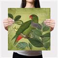 Picture of Vintage Tropical Birds II _GroupedProduct_Square_Canvas_