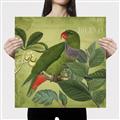 Picture of Vintage Tropical Birds II _GroupedProduct_Square_Canvas_