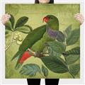 Picture of Vintage Tropical Birds II _GroupedProduct_Square_Canvas_