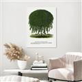 Picture of Kilmarnock Weeping Willow Tree Lithograph _GroupedProduct_Rectangle_Portrait_Canvas_