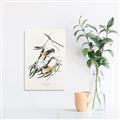 Picture of Two Yellow Warbler Birds _GroupedProduct_Rectangle_Portrait_Canvas_