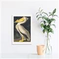 Picture of Vintage White Pelican _GroupedProduct_Rectangle_Portrait_Canvas_