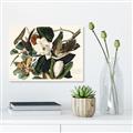 Picture of Black Billed Cuckoo Bird _GroupedProduct_Rectangle_Landscape_Canvas_