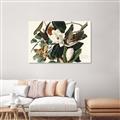 Picture of Black Billed Cuckoo Bird _GroupedProduct_Rectangle_Landscape_Canvas_