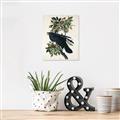 Picture of Raven From Birds of America (1827) _GroupedProduct_Rectangle_Portrait_Canvas_