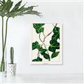 Picture of Nostalgic Green Murgrona Leaves _GroupedProduct_Rectangle_Portrait_Canvas_