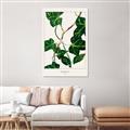 Picture of Nostalgic Green Murgrona Leaves _GroupedProduct_Rectangle_Portrait_Canvas_