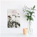 Picture of Romantic Blur Peony V _GroupedProduct_Rectangle_Portrait_Photography _GroupedProduct_Rectangle_Portrait_Canvas_