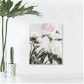 Picture of Romantic Blur Peony V _GroupedProduct_Rectangle_Portrait_Photography _GroupedProduct_Rectangle_Portrait_Canvas_