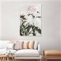 Picture of Romantic Blur Peony V _GroupedProduct_Rectangle_Portrait_Photography _GroupedProduct_Rectangle_Portrait_Canvas_