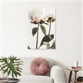 Picture of Romantic Blur Peony IV _GroupedProduct_Rectangle_Portrait_Photography _GroupedProduct_Rectangle_Portrait_Canvas_