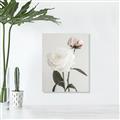 Picture of Romantic Blur Peony III _GroupedProduct_Rectangle_Portrait_Photography _GroupedProduct_Rectangle_Portrait_Canvas_