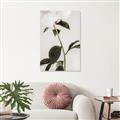 Picture of Romantic Blur Peony II _GroupedProduct_Rectangle_Portrait_Photography _GroupedProduct_Rectangle_Portrait_Canvas_
