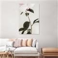 Picture of Romantic Blur Peony II _GroupedProduct_Rectangle_Portrait_Photography _GroupedProduct_Rectangle_Portrait_Canvas_