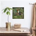 Picture of Tropical Paradise Toucan Bird _GroupedProduct_Square_Canvas_