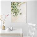Picture of Few Olive Tree Leaves _GroupedProduct_Rectangle_Portrait_Photography _GroupedProduct_Rectangle_Portrait_Canvas_