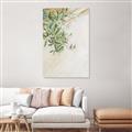 Picture of Few Olive Tree Leaves _GroupedProduct_Rectangle_Portrait_Photography _GroupedProduct_Rectangle_Portrait_Canvas_