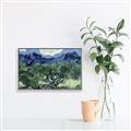 Picture of Vincent Van Gogh's Olive Trees With the Alpilles (1889) _GroupedProduct_Rectangle_Landscape_Canvas_Framed_