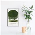 Picture of Kilmarnock Weeping Willow Tree Lithograph _GroupedProduct_Rectangle_Portrait_Canvas_Framed_
