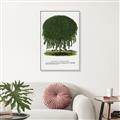 Picture of Kilmarnock Weeping Willow Tree Lithograph _GroupedProduct_Rectangle_Portrait_Canvas_Framed_