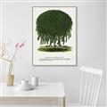 Picture of Kilmarnock Weeping Willow Tree Lithograph _GroupedProduct_Rectangle_Portrait_Canvas_Framed_
