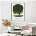 Picture of Kilmarnock Weeping Willow Tree Lithograph _GroupedProduct_Rectangle_Portrait_Canvas_Framed_