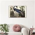 Picture of Vintage Heron Bird _GroupedProduct_Rectangle_Landscape_Canvas_Framed_