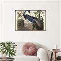 Picture of Vintage Heron Bird _GroupedProduct_Rectangle_Landscape_Canvas_Framed_