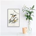 Picture of Two Yellow Warbler Birds _GroupedProduct_Rectangle_Portrait_Canvas_Framed_