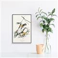 Picture of Two Yellow Warbler Birds _GroupedProduct_Rectangle_Portrait_Canvas_Framed_