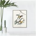 Picture of Two Yellow Warbler Birds _GroupedProduct_Rectangle_Portrait_Canvas_Framed_
