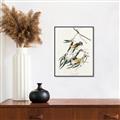 Picture of Two Yellow Warbler Birds _GroupedProduct_Rectangle_Portrait_Canvas_Framed_