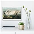 Picture of Vintage Floating White Swan _GroupedProduct_Rectangle_Landscape_Canvas_Framed_
