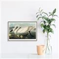Picture of Vintage Floating White Swan _GroupedProduct_Rectangle_Landscape_Canvas_Framed_
