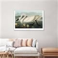 Picture of Vintage Floating White Swan _GroupedProduct_Rectangle_Landscape_Canvas_Framed_