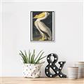 Picture of Vintage White Pelican _GroupedProduct_Rectangle_Portrait_Canvas_Framed_