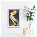 Picture of Vintage White Pelican _GroupedProduct_Rectangle_Portrait_Canvas_Framed_