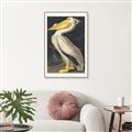 Picture of Vintage White Pelican _GroupedProduct_Rectangle_Portrait_Canvas_Framed_
