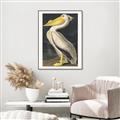 Picture of Vintage White Pelican _GroupedProduct_Rectangle_Portrait_Canvas_Framed_