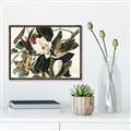 Picture of Black Billed Cuckoo Bird _GroupedProduct_Rectangle_Landscape_Canvas_Framed_