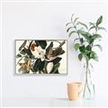 Picture of Black Billed Cuckoo Bird _GroupedProduct_Rectangle_Landscape_Canvas_Framed_
