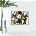 Picture of Black Billed Cuckoo Bird _GroupedProduct_Rectangle_Landscape_Canvas_Framed_